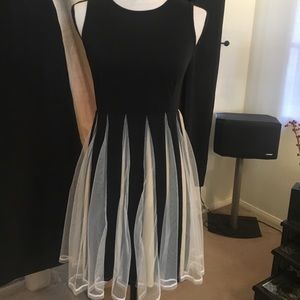 Pretty Black and Beige Dress